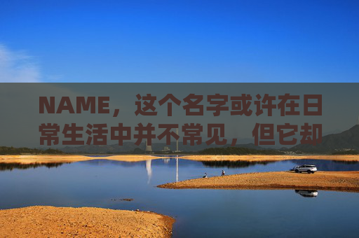 NAME，这个名字或许在日常生活中并不常见，但它却在某些领域里扮演着重要的角色。今天，让我们一起来探索这个名字背后的故事和意义